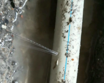 兰西卫生间测漏水多少钱