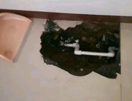 兰西卫生间测漏水多少钱